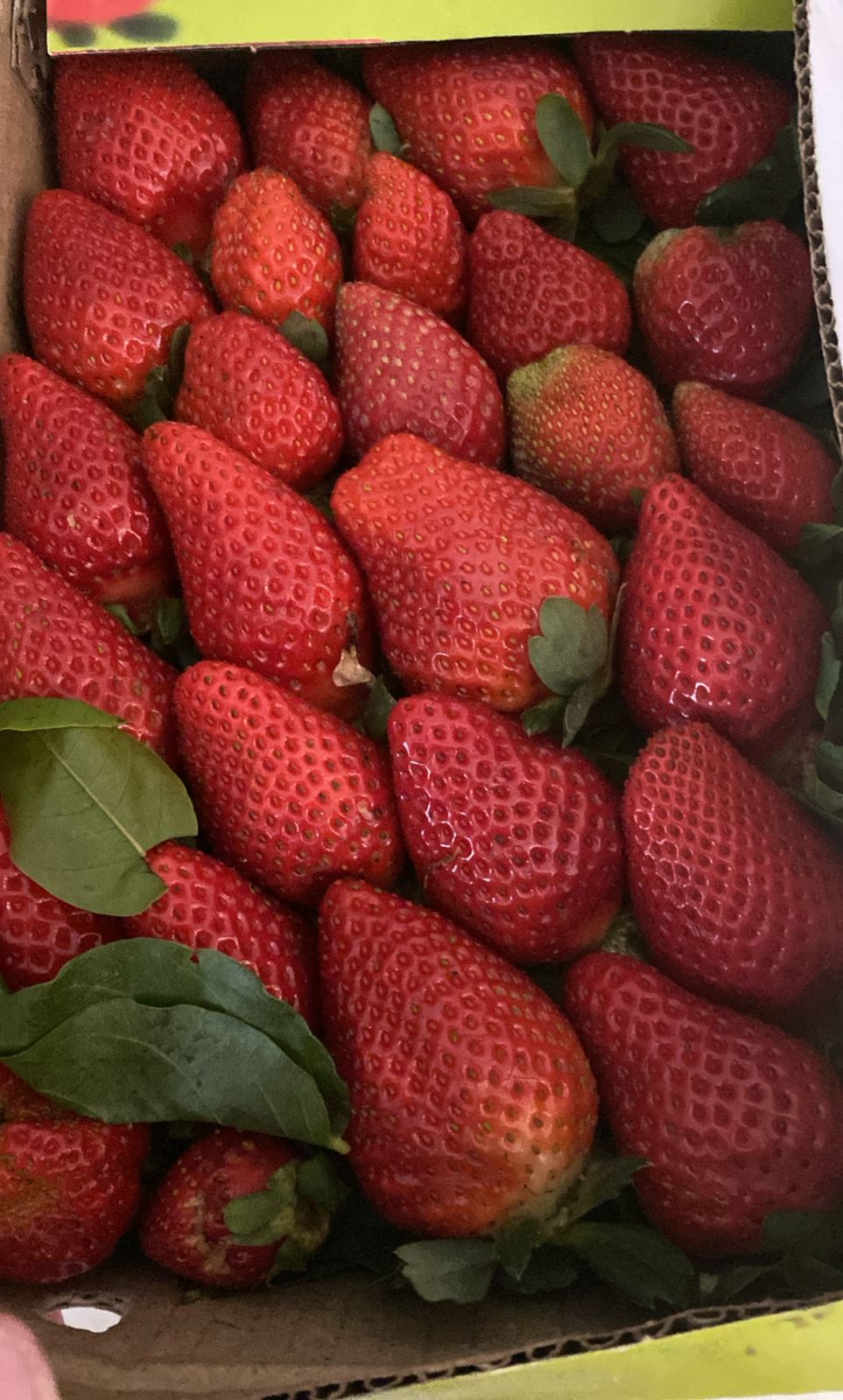 Organic Malabar Strawberry | 500g Box|₹460