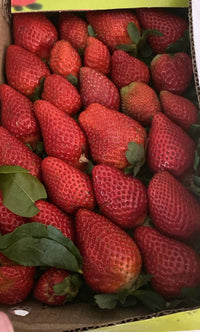 Organic Malabar Strawberry | 500g Box|₹460