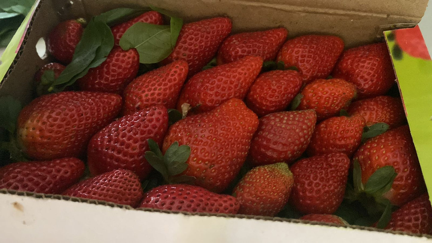 Organic Malabar Strawberry | 500g Box|₹460